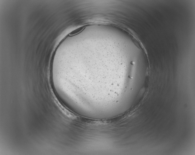 X0000076331195200610201656