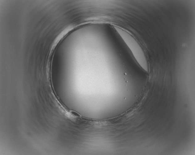 X0000076331196200610201656