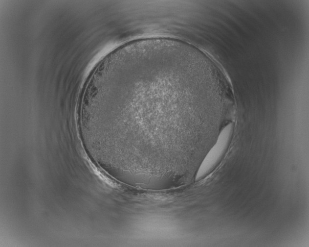 X0000076331197200610201656