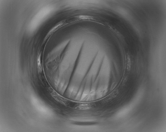 X0000076331198200610201656