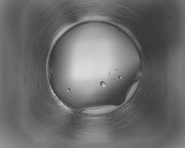 X0000076331199200610201656