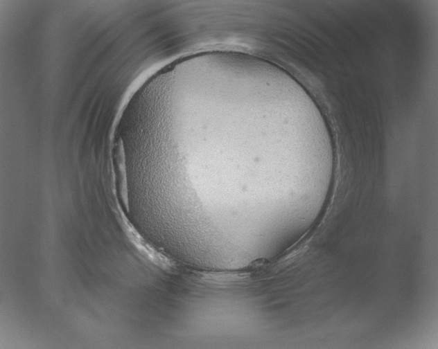 X0000076331200200610201656