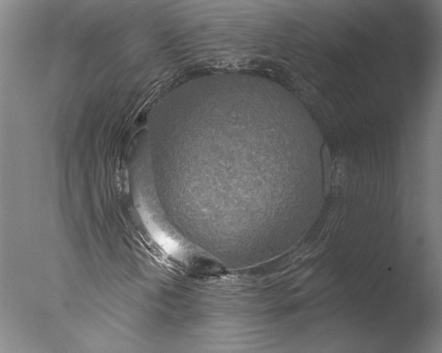 X0000076331202200610201656