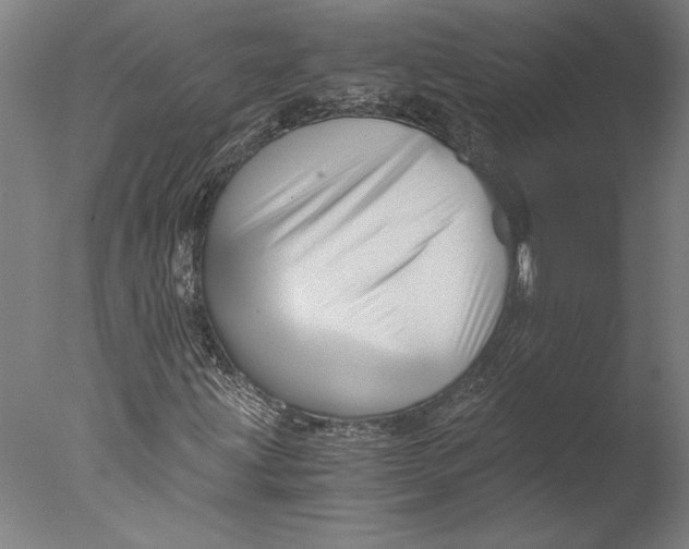 X0000076331203200610201656