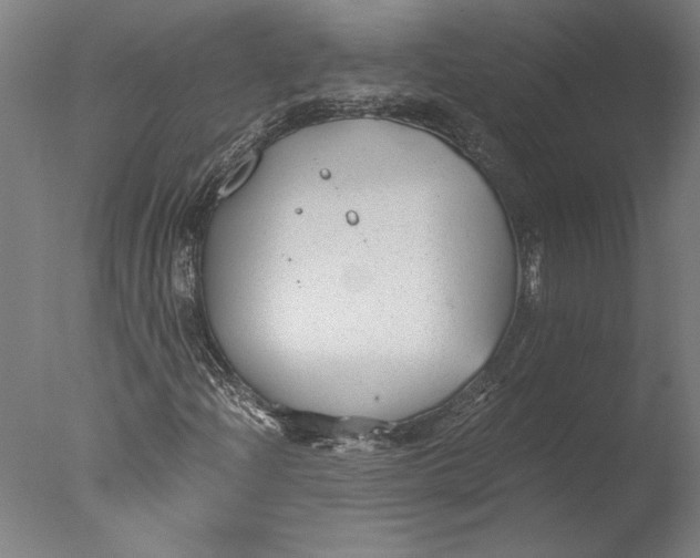 X0000076331204200610201656