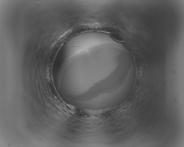 X0000076331205200610201656