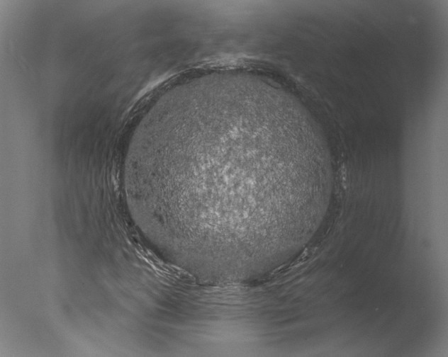 X0000076331206200610201656