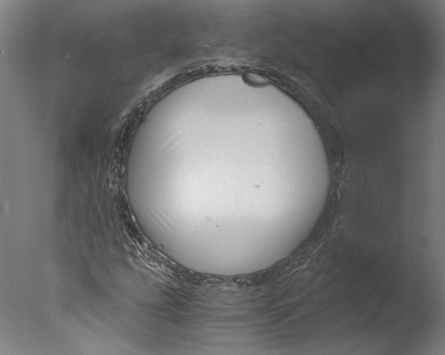 X0000076331207200610201656