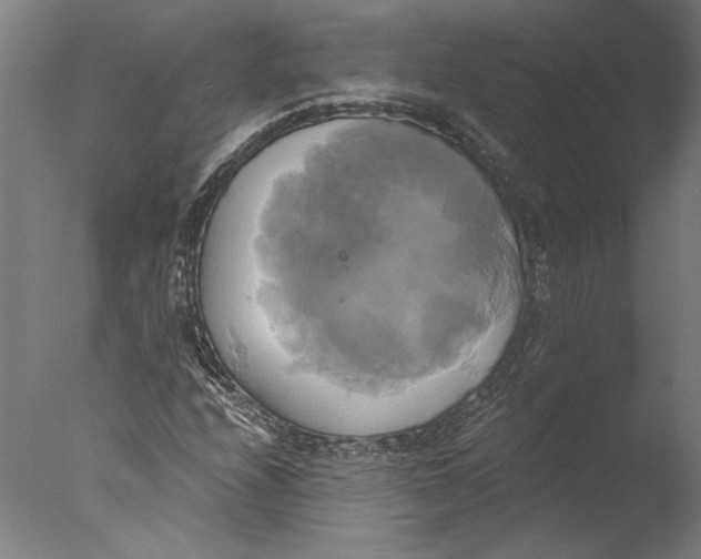 X0000076331208200610201656