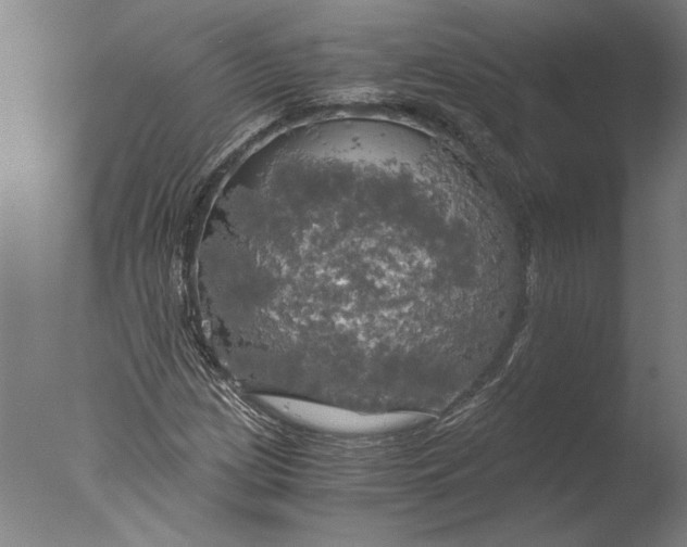 X0000076331209200610201656