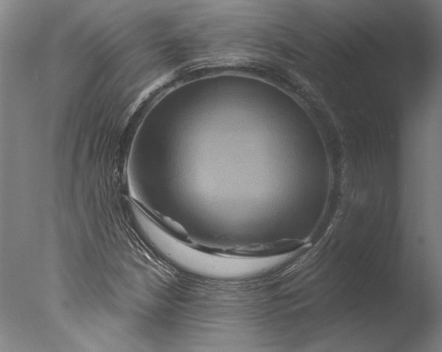 X0000076331210200610201656