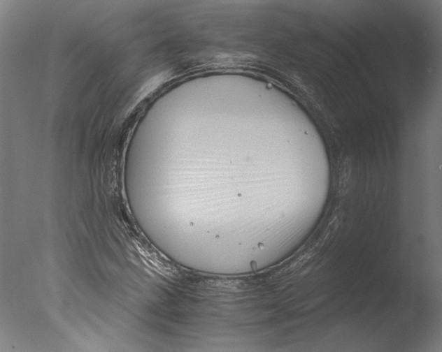 X0000076331211200610201656