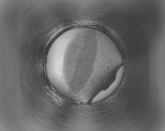 X0000076331212200610201656