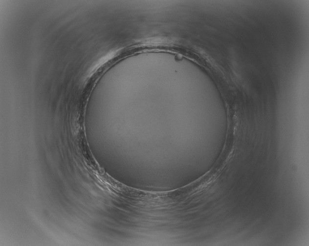 X0000076331213200610201656