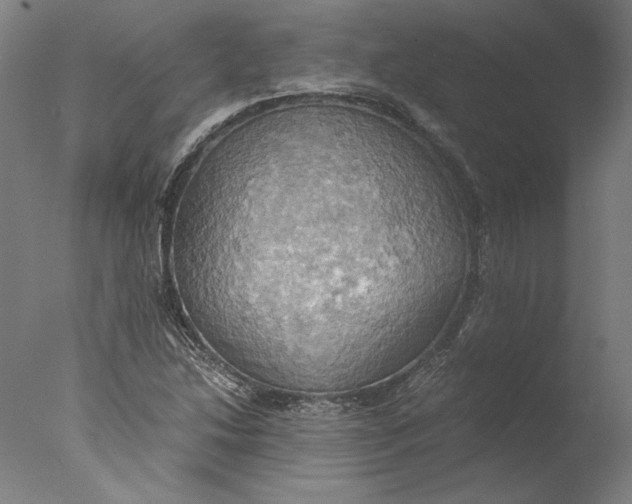 X0000076331214200610201656