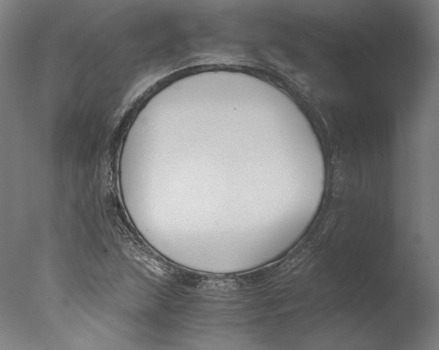 X0000076331215200610201656