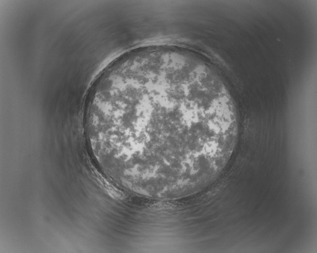 X0000076331216200610201656