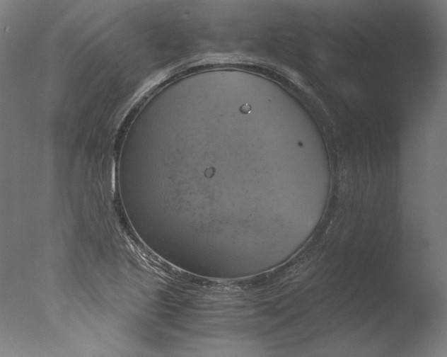 X0000076331221200610201656