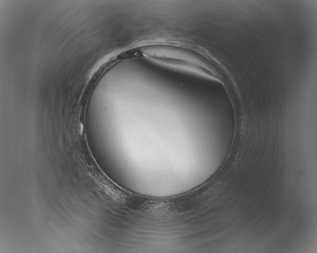 X0000076331222200610201656