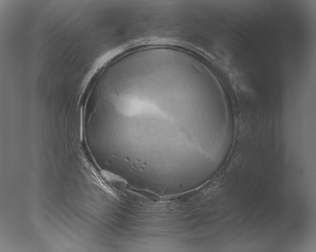 X0000076331223200610201656