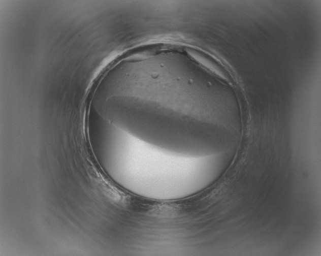 X0000076331224200610201656