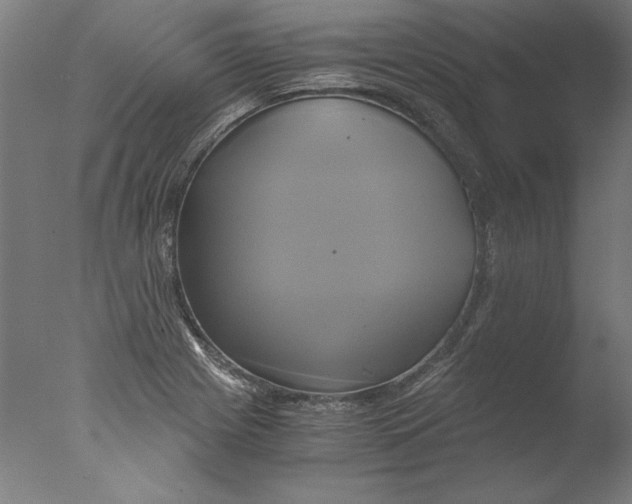 X0000076331225200610201656