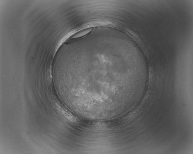 X0000076331226200610201656