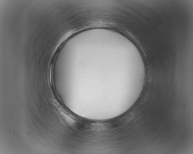 X0000076331227200610201656