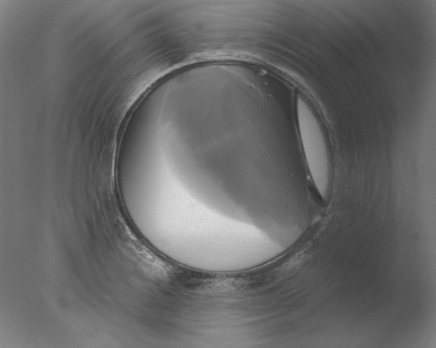 X0000076331228200610201656