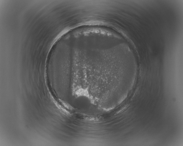 X0000076331229200610201656