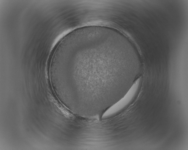 X0000076331230200610201656