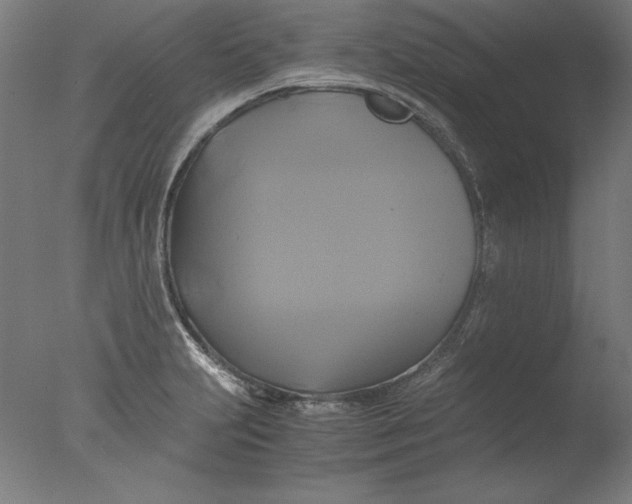 X0000076331231200610201656