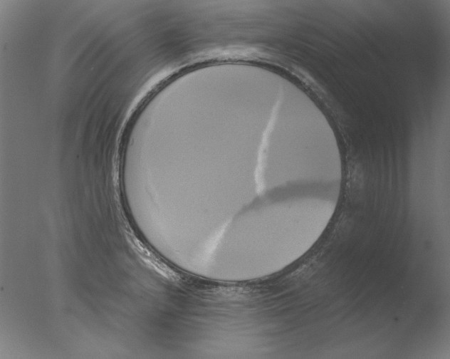 X0000076331232200610201656