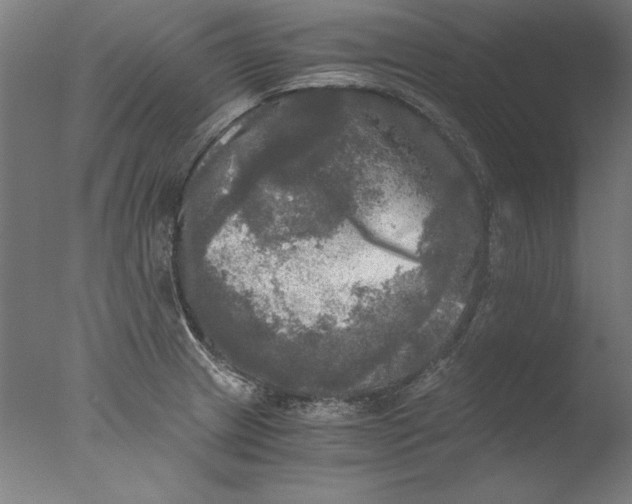 X0000076331233200610201656