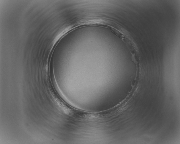 X0000076331234200610201656