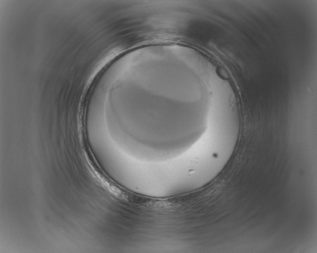 X0000076331235200610201656