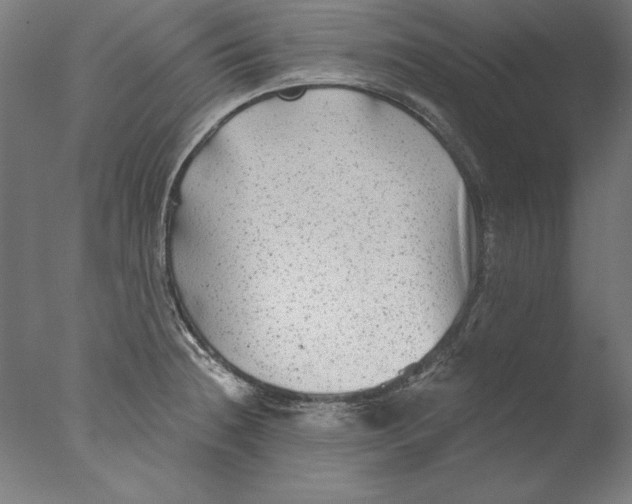 X0000076331236200610201656