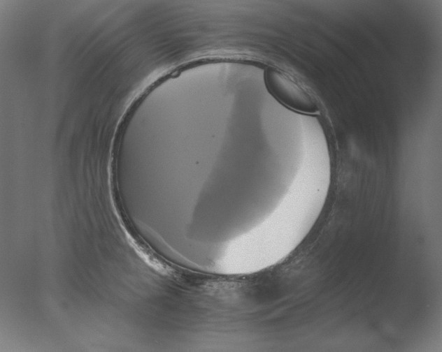 X0000076331237200610201656