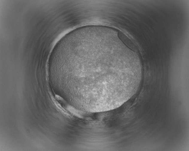 X0000076331238200610201656