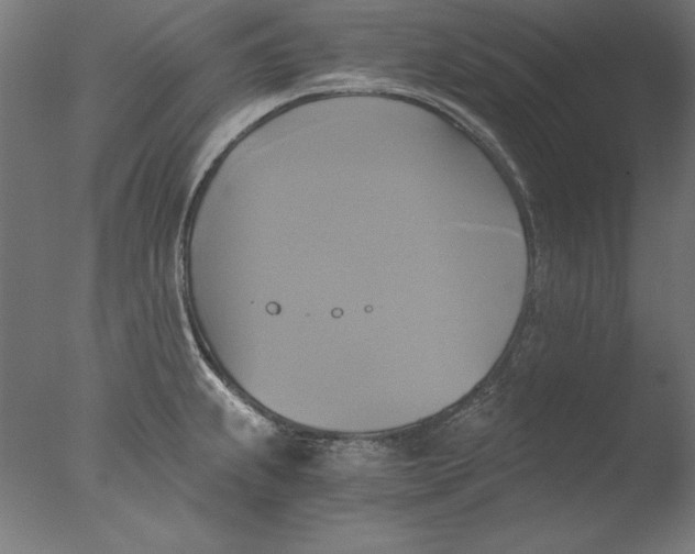 X0000076331239200610201656