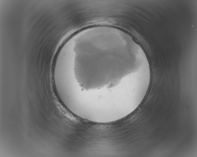 X0000076331240200610201656