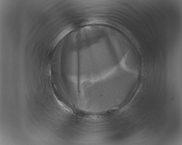 X0000076331241200610201656