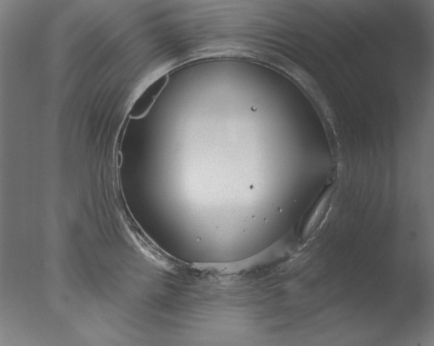 X0000076331242200610201656