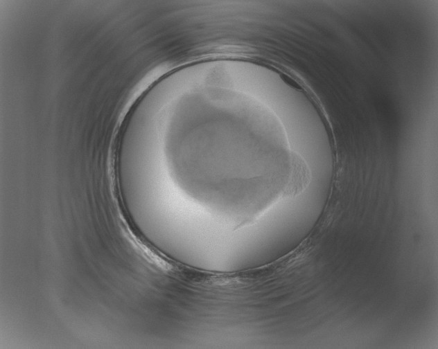 X0000076331243200610201656