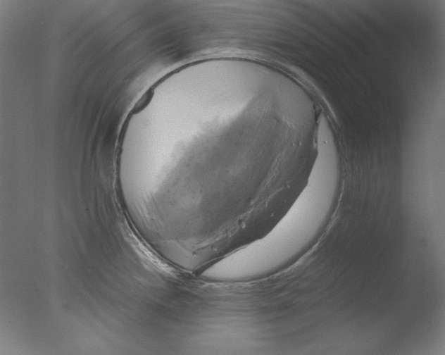 X0000076331244200610201656