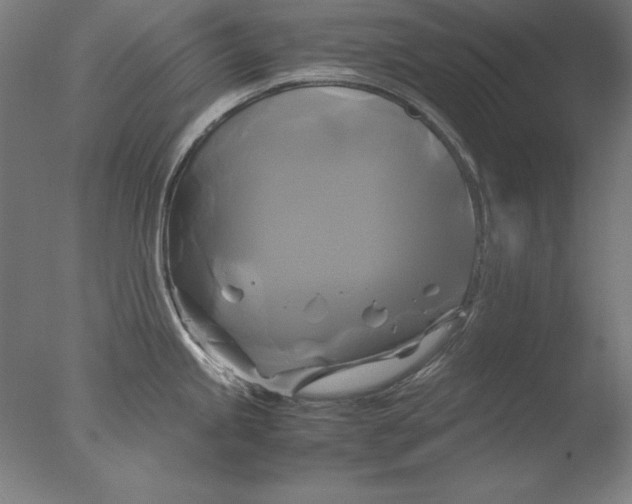 X0000076331245200610201656