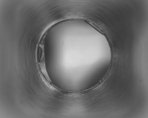 X0000076331246200610201656