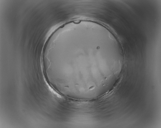 X0000076331247200610201656