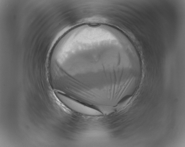 X0000076331248200610201656