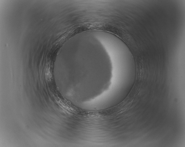 X0000076331250200610201656